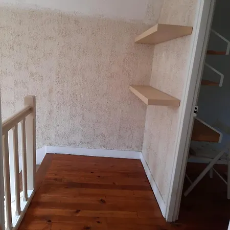 Les Fougeres - Bois De Cise