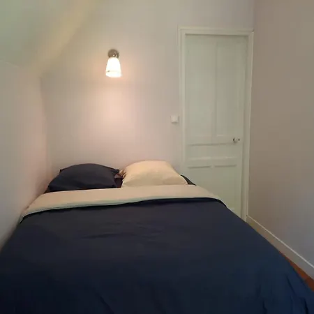 Les Fougeres - Bois De Cise *