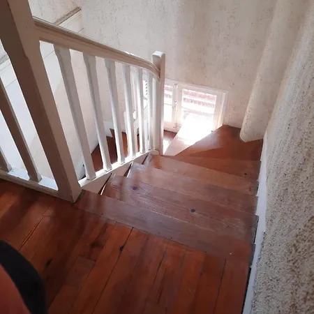 Les Fougeres - Bois De Cise * Ault